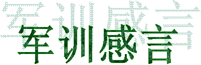 军训感言