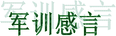 军训感言