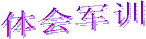 体会军训