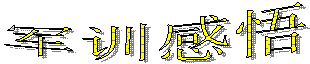 军训感悟